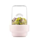 KILNER SPROUTING SET