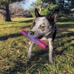 FABDOG FLOPPY LION LARGE - Image 3