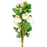 RANUNCULUS FLOWER BOUQUET 3 ASST - Image 4