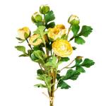 RANUNCULUS FLOWER BOUQUET 3 ASST - Image 3