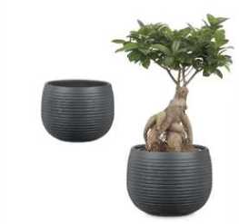 GRAPHITE STONE 18CM 57641-343