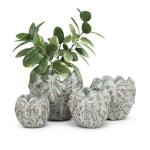 LG JUNGLE LEAF POD PLANTER 8" - Image 2