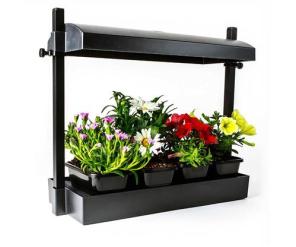 GROWLIGHT GARDEN MICRO BLACK