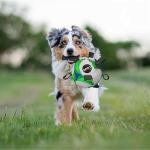 SOCCER BALL WITH EZ-TABS - Image 2