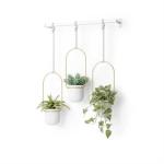 TRIFLORA HANGING PLANTER SET/3 W/B