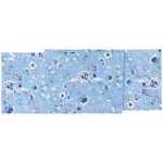 TABLE RUNNER 72 JULIETTE