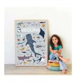 DISCOVERY POSTER XXL SHARKS - Image 3