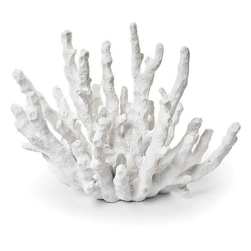 Image56.0189_1 SMALL FINGER CORAL WHITE 7.5" - Image 1
