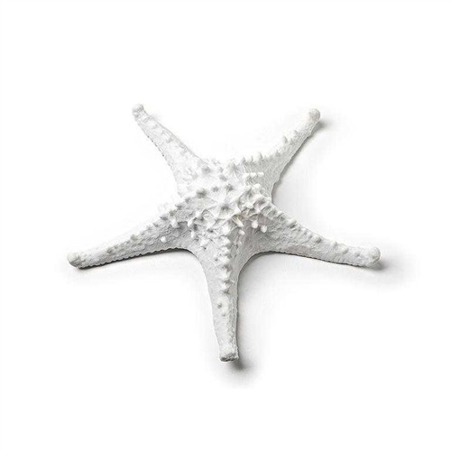 Image56.0415_1 STARFISH WHITE MED 3D 7.5" - Image 1