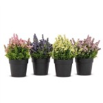 LAVENDER PLANTER POT ASST 8"